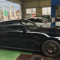 画像236